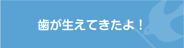 歯が生えてきたよ！