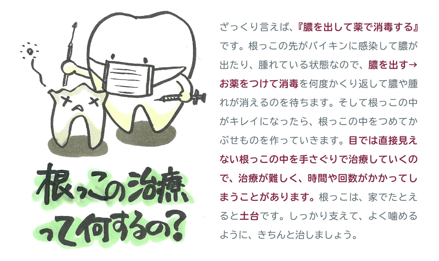 根っこの治療って何するの？