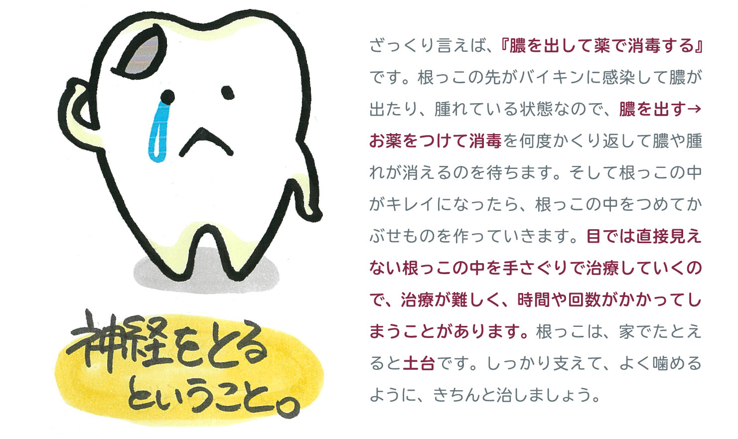 神経をとるということ