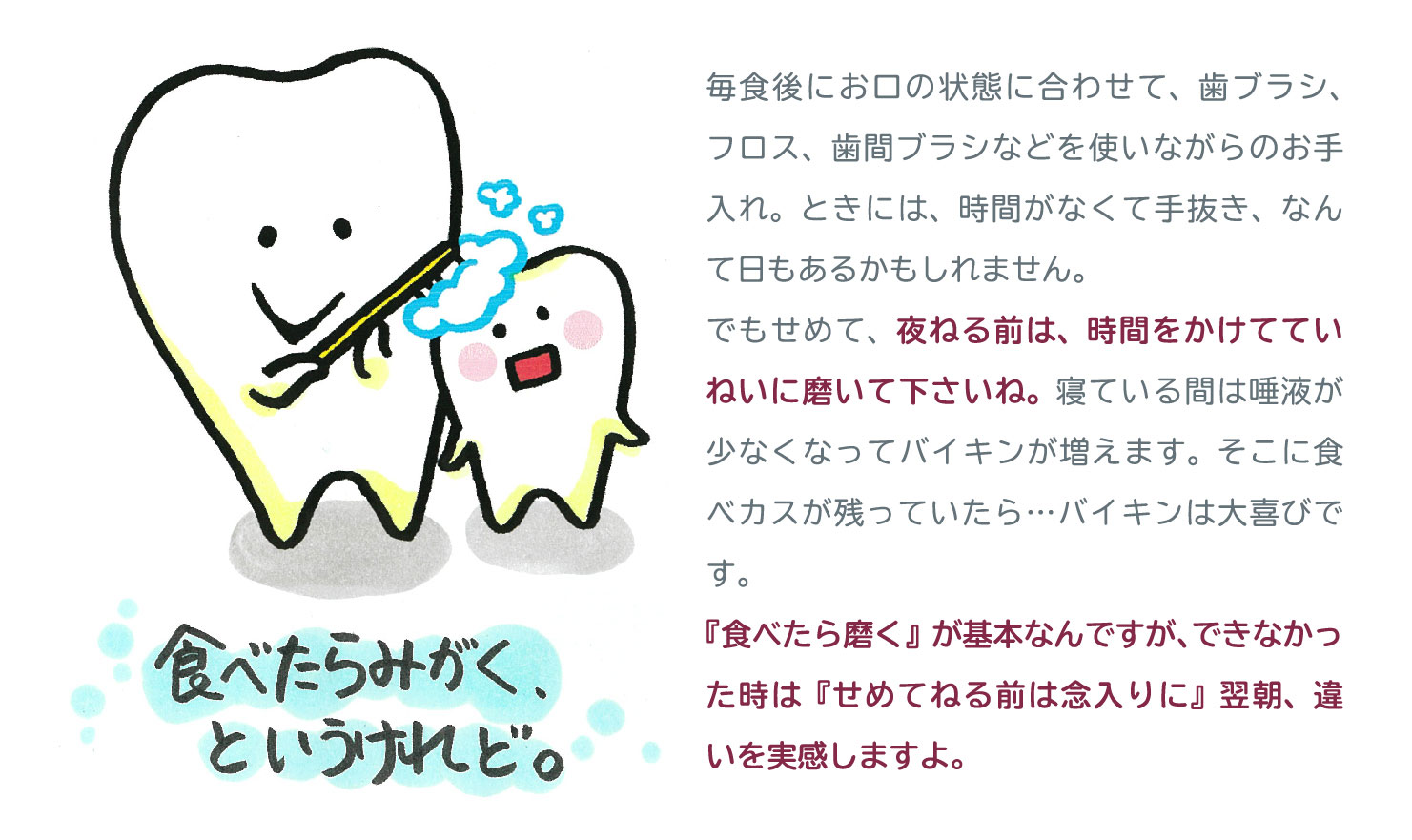 食べたらみがく、というけれど