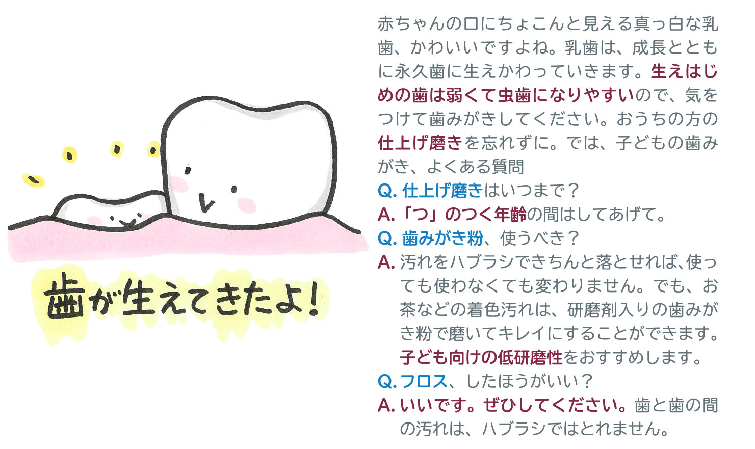 歯が生えてきたよ！