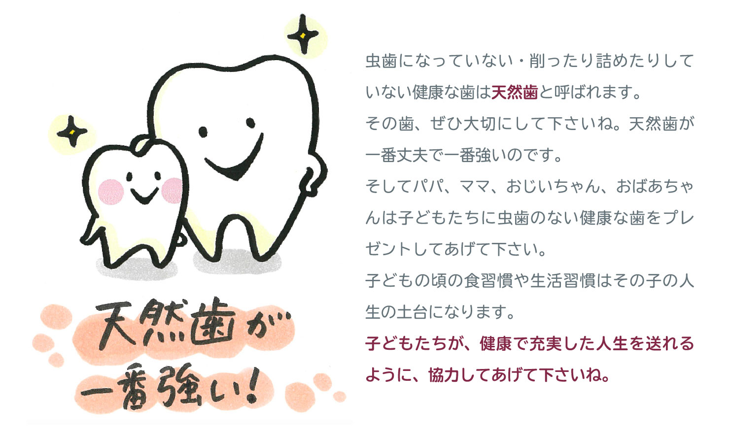 天然歯が一番強い！
